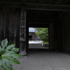 夏の雲巌寺2