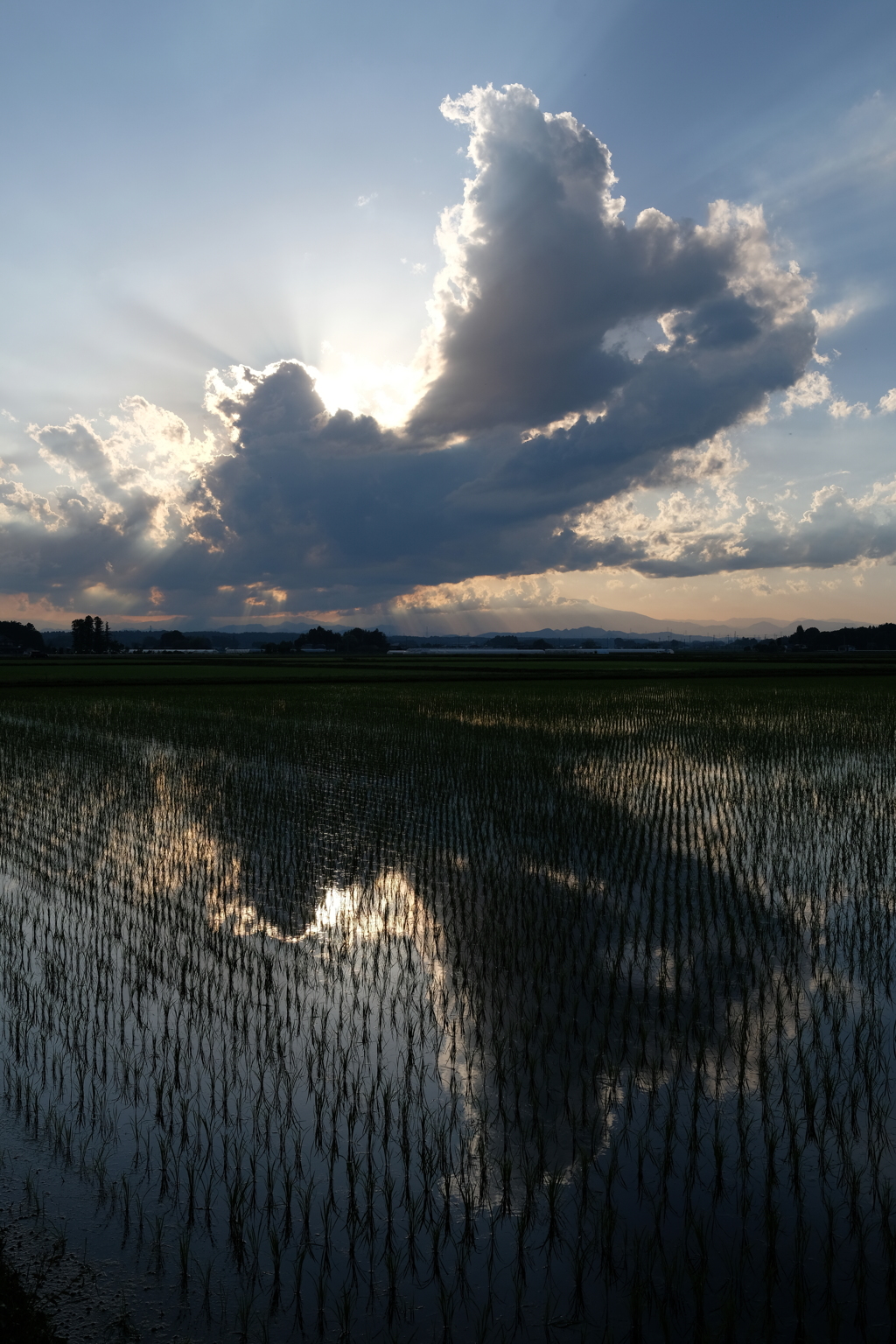 夕暮れの雲2