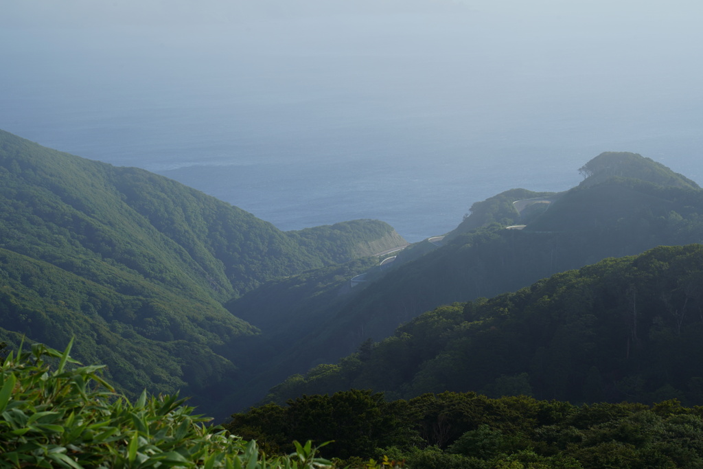 山坂道と海