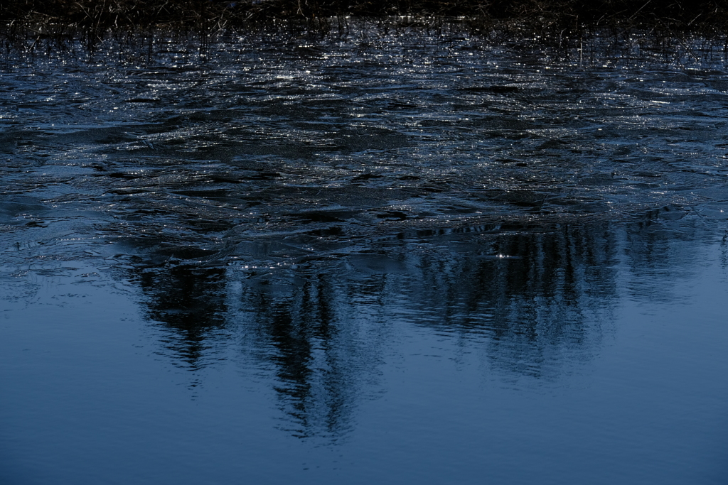池の氷