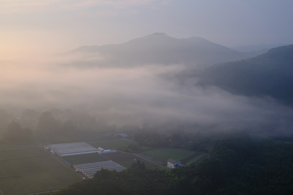 朝霧の里