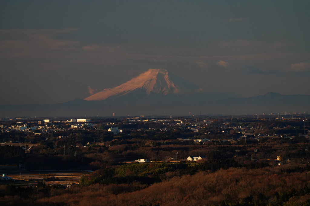 朝日にほんのりと