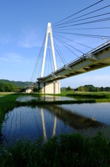 橋