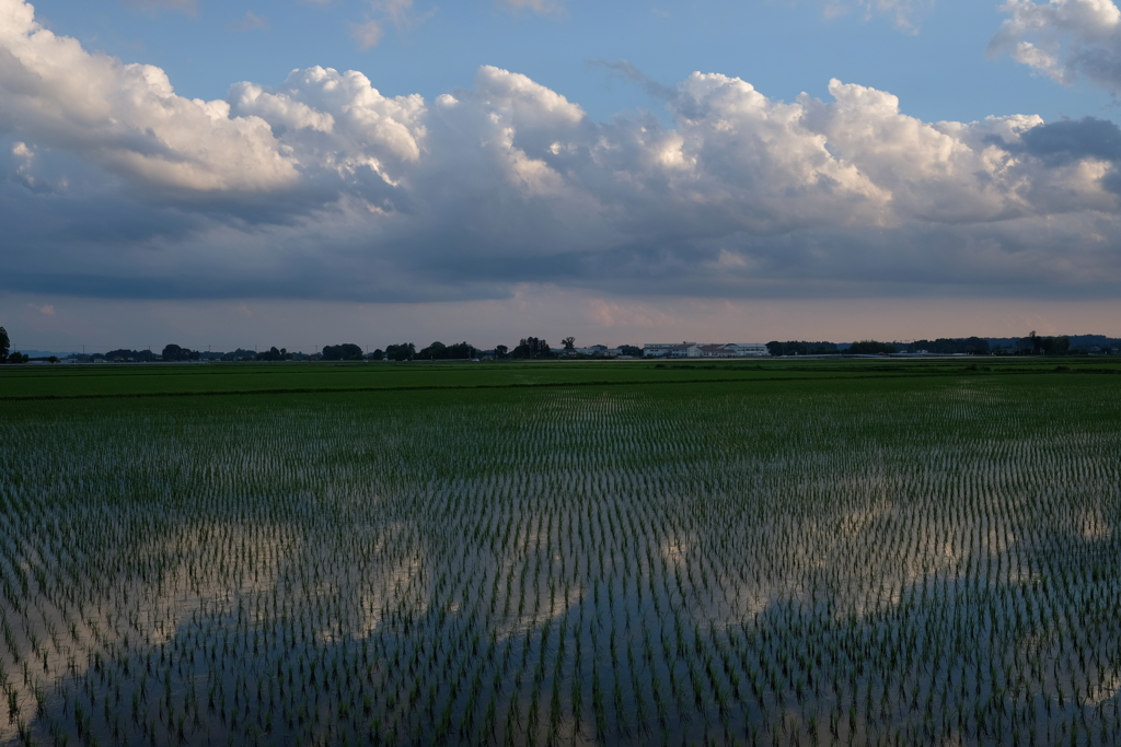 初夏の田園風景2