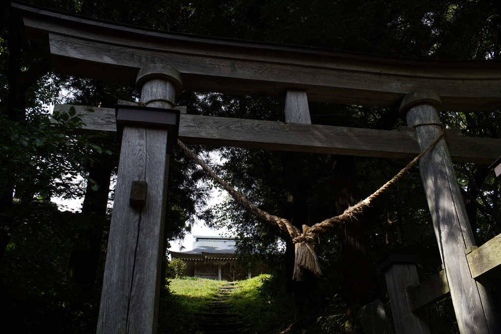 山頂の神社