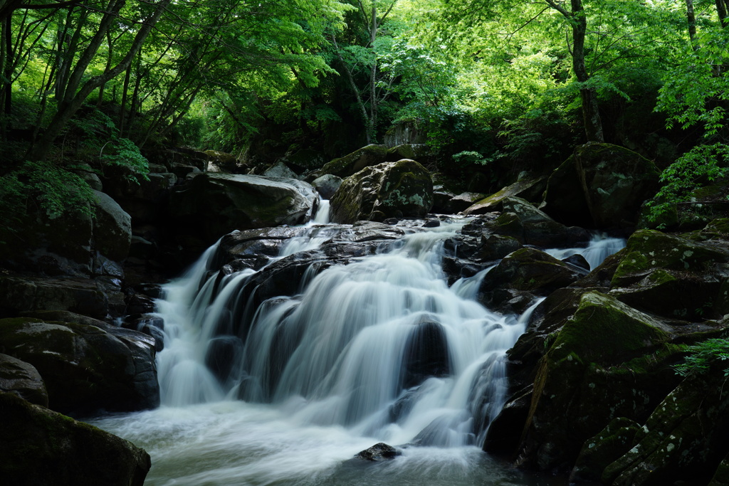 山鶏滝