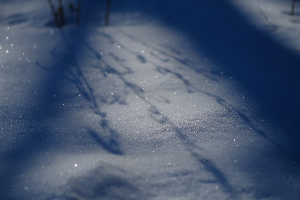 雪面の影
