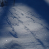 雪面の影
