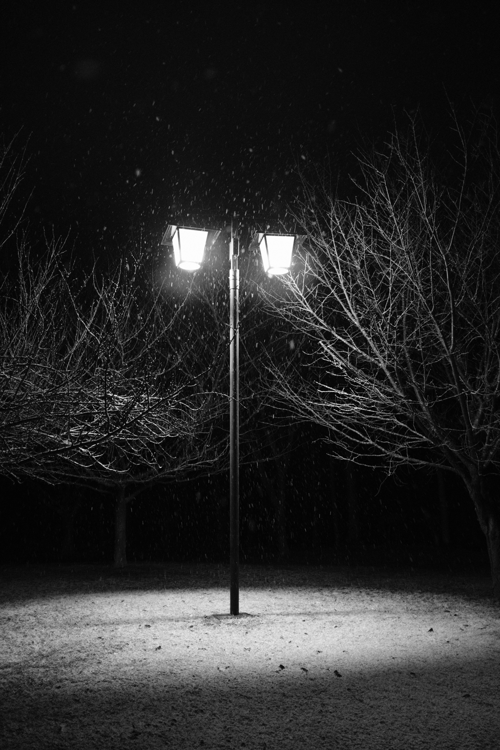 2月の雪の夜2