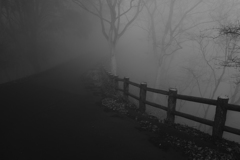 霧の山道