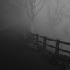 霧の山道