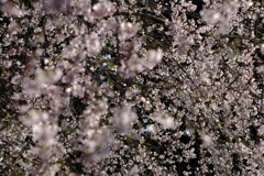 光降るように