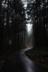 雨の山道