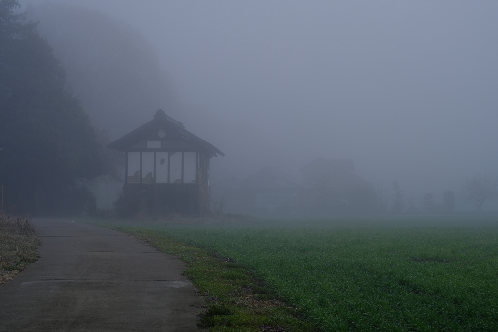 霧の風景
