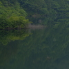 緑の水辺2