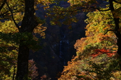 蛇王の滝