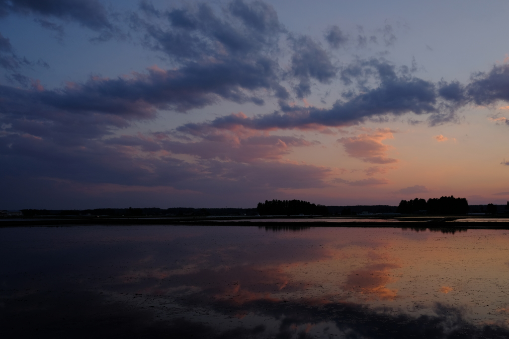 田植えの頃の夕暮