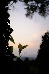 7月の夕暮れ