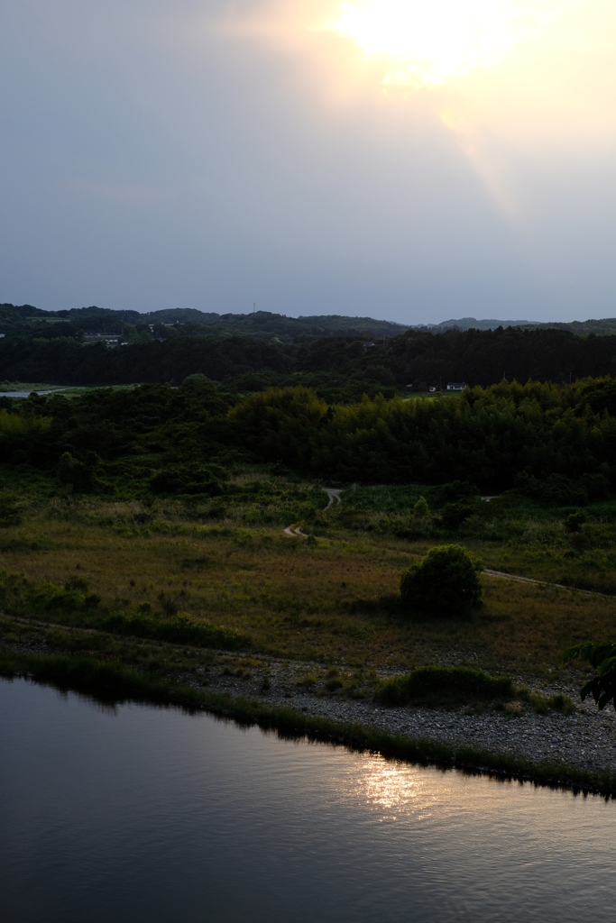 夕暮れの河原
