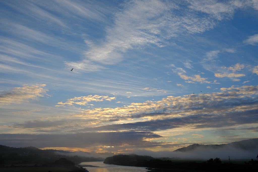 朝空に羽ばたく