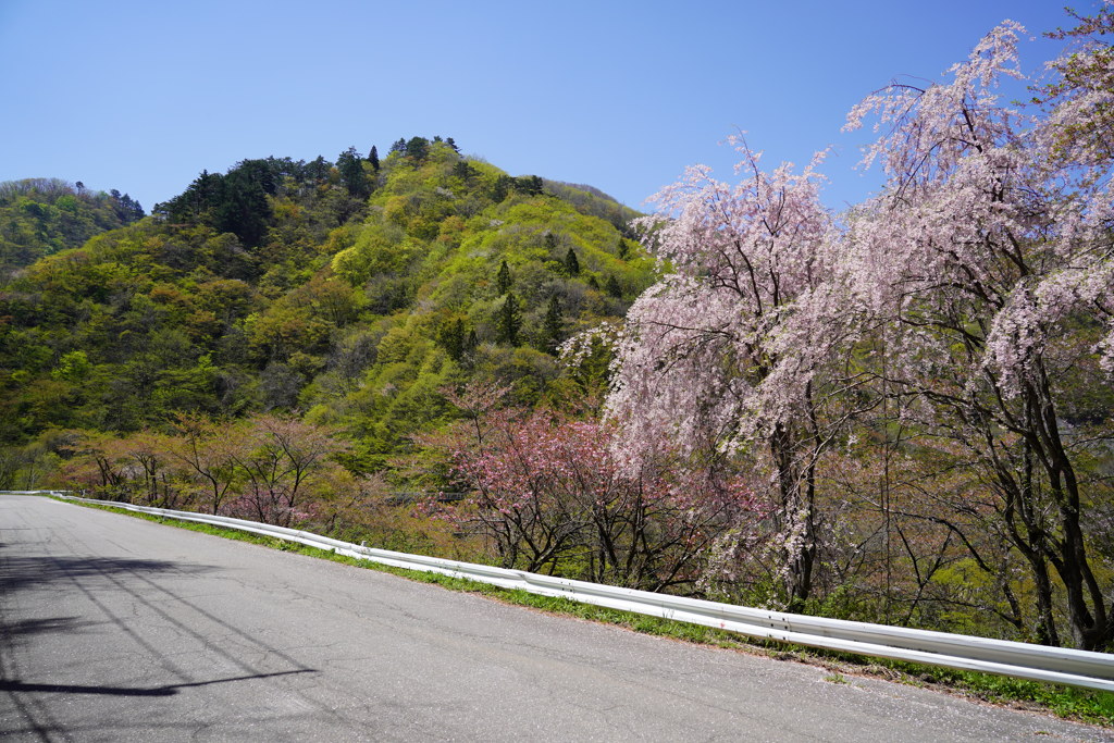新緑の里山