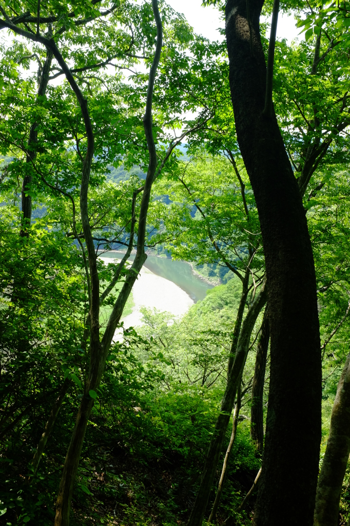 森から川を望む　その２