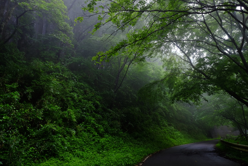 雨の山道