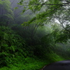雨の山道