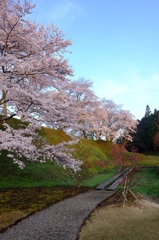 朝日を受けて