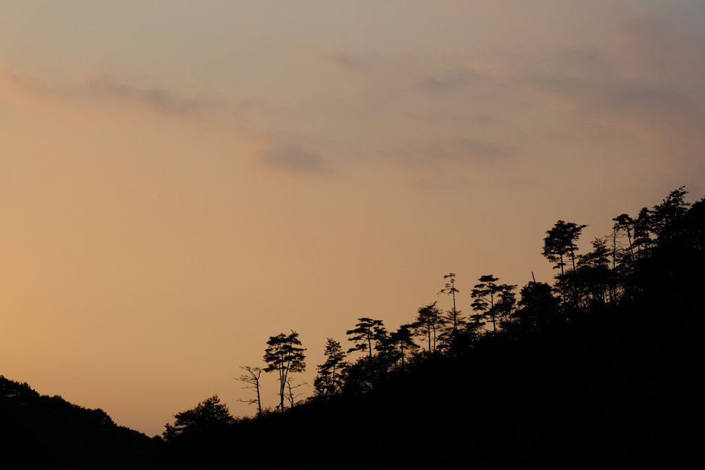 夏の夕暮れ