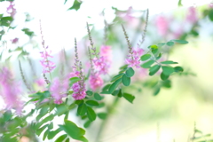 爽やかな朝3