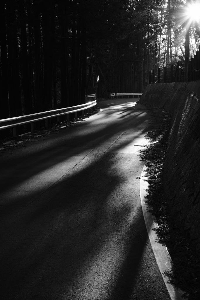朝の山道