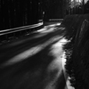 朝の山道