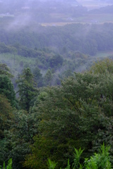 秋雨眺望　その２