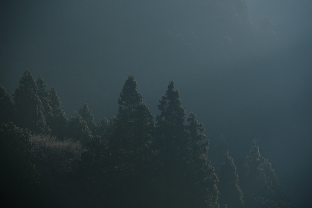 朝靄の中
