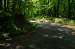 木漏れ日の山道