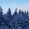 雪の朝