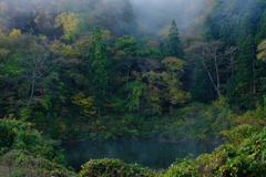 静かな朝に