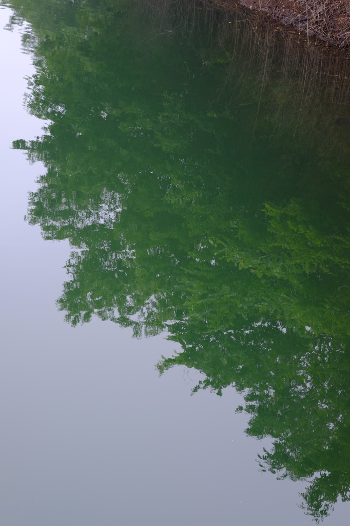 水面
