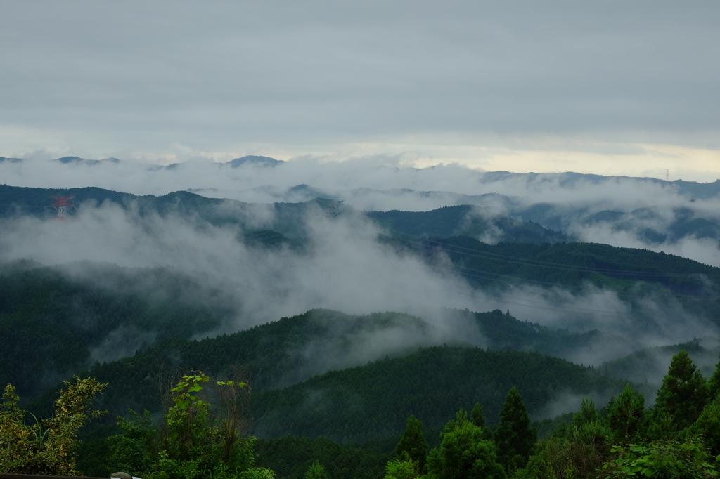 雨上がりの風景　その２