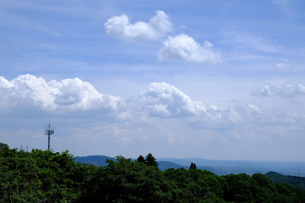 雲