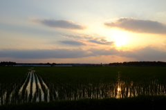 夕暮れの田園風景　その３