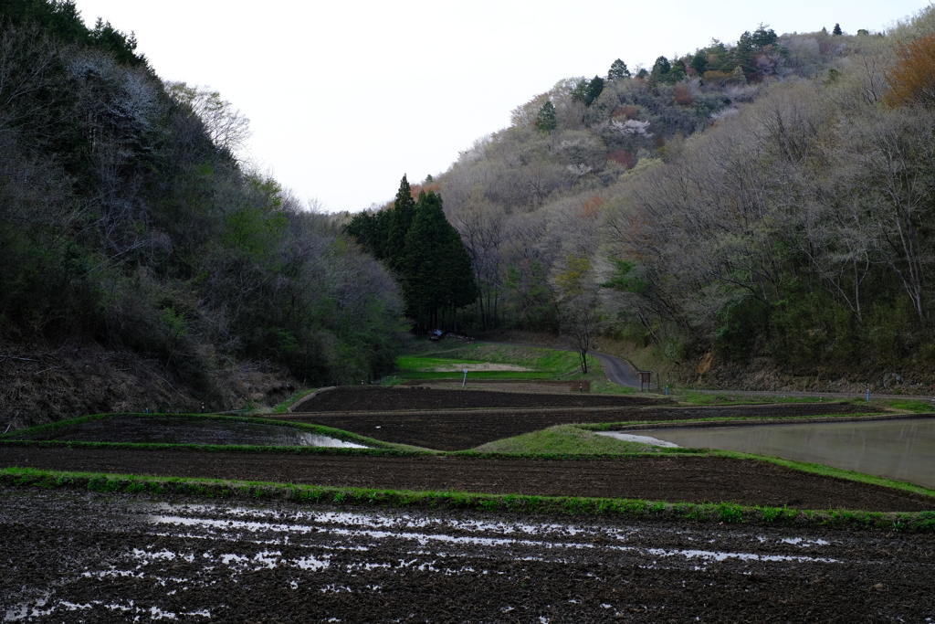 山間の田んぼ