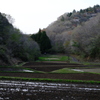 山間の田んぼ