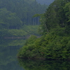 緑の水辺3