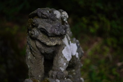 阿