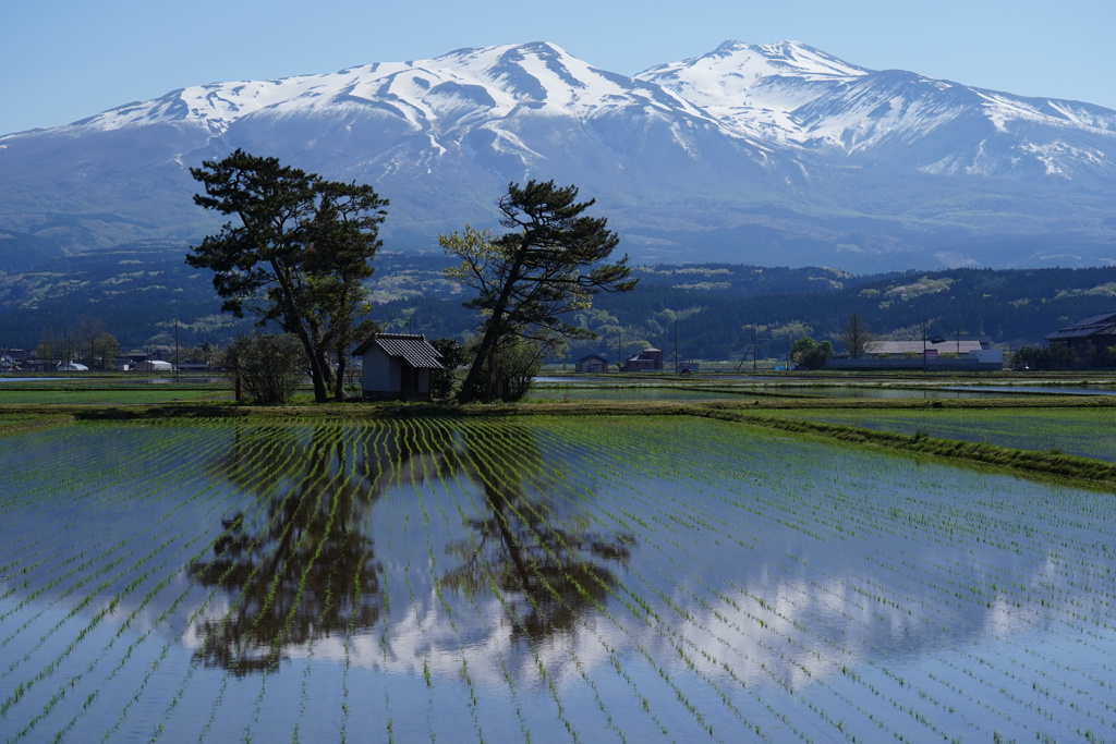 鳥海山を望む6