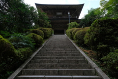 夏の雲巌寺
