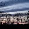 木々のシルエットと縞々雲