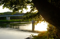 夕暮れの橋　その２